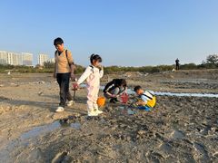 -北海金海湾红树林生态旅游区