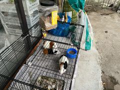 -马陆小张葡萄园农家乐