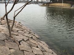 -美兰湖景区