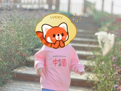 -羊亭河湿地公园