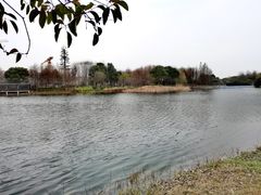 -尚贤河湿地