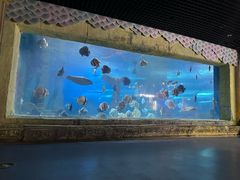 -梦幻海洋王国(吾悦广场张家港店)