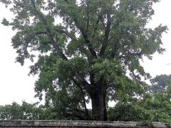 -金堂县云顶石城风景区