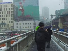 -涩谷全向十字路口