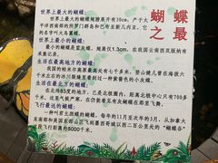 -上海大自然野生昆虫馆(东方明珠·爬宠昆虫探索中心)