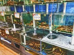 -蚝专家(北滘店)