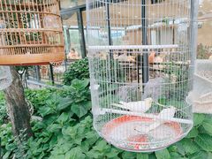 -蘇河湾·新鲁菜·泰山宴(泰山店)
