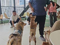 -怪兽屋·羊驼·猫咖·狗咖(俊华广场店)