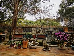 -金蔷薇·湖景庭院餐厅(环湖店)