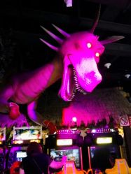 -卡通尼·Safari非洲探索乐园·生日会(金桥国际商业广场店)