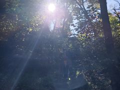 -天女山森林公园