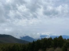 -白草畔自然风景区