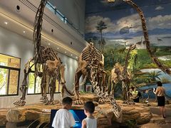 -自贡恐龙博物馆
