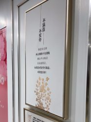-镁连社·美联社