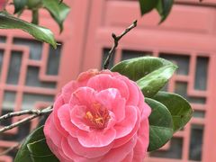 -滕王阁旅游区
