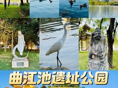 -西安曲江池遗址公园