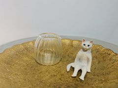 -猫里有甜