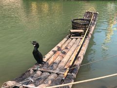 -江西龙虎山景区