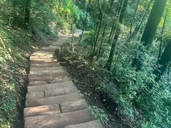 -青城山