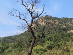 -龙云山风景区-鹿皮关长城