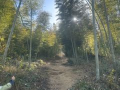 -潜山国家森林公园