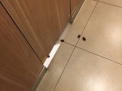 -仙踪林(江燕路万科里店)