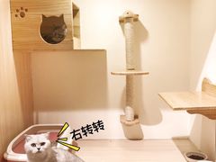 -Double Rui宠物酒店