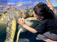 -烟台海昌鲸鲨海洋公园