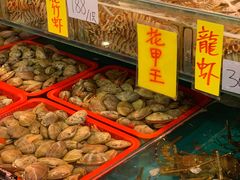 水产区-鲜入围煮花胶鸡海鲜火锅