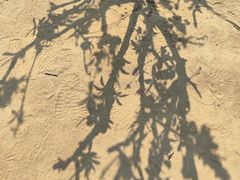 -南国桃园旅游度假区