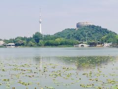 -月湖风景区