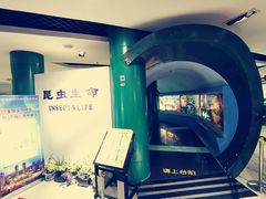 -上海昆虫博物馆