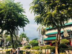 -爱雍·乌节