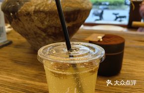 Pineapple Plum Soda