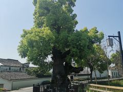 -东梓关景区村庄