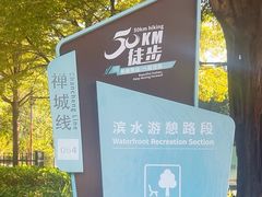 -王借岗森林公园