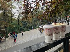 -茶颜悦色(岳麓山顶店)