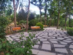 -阳台山自然风景区