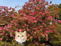 -贵州省植物园