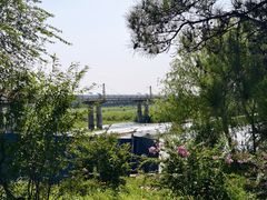-绿堤公园