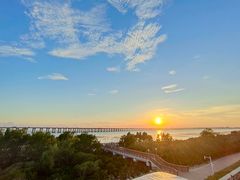 -宝安西湾红树林湿地公园