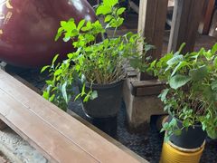 -马灯部落·西湖边的创意山景餐厅(虎跑动物园店)