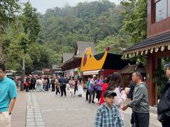 -野象谷景区