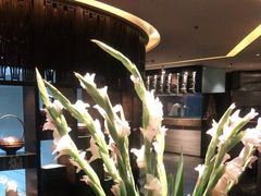-南堂館川菜文化餐厅(天府店)