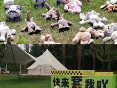 -途柚团建·拓展培训·年会策划