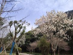 -黄公望隐居地