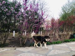 -公益西桥(地铁站)