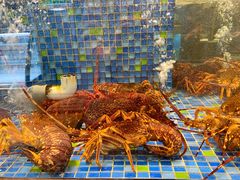 -乾隆美食·本帮菜(黄河路店)