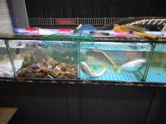 -金海湾海鲜排档(朱家尖店)