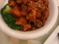 -宝园酒家(美林M·LIVE天地东座店)